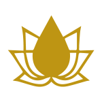 Massagem Prostatica Lotus Massage Lisboa